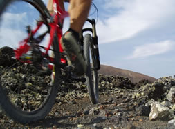 Tommy's Bikes Lanzarote - first bike rental and tour-company on Lanzarote